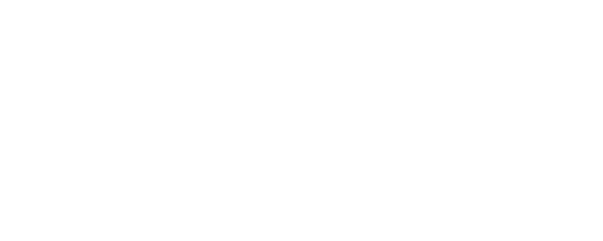 the blind factory logo